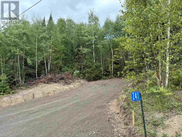 241 CLOUD LAKE ROAD, Neebing