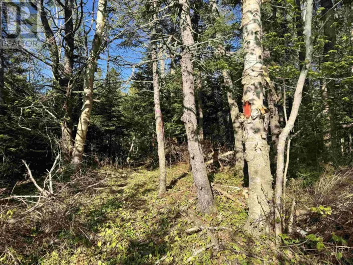 24-1 Forest Drive Extension, Pictou