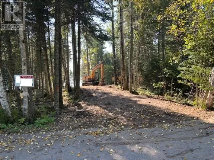 2413 SCOTT DR, MCGREGOR SHUNIAH