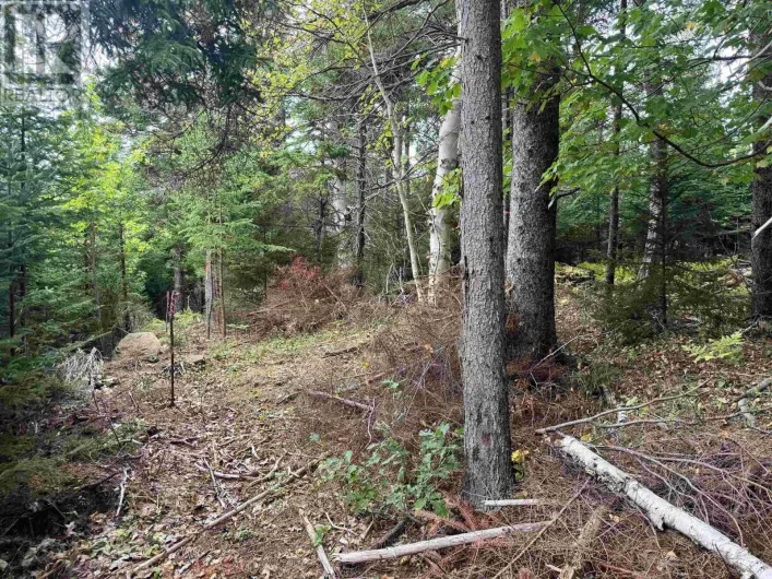 24-2 Forest Drive Extension, Pictou