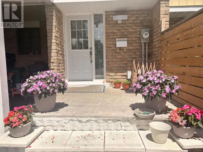 244 ROYAL SALISBURY WAY, Brampton