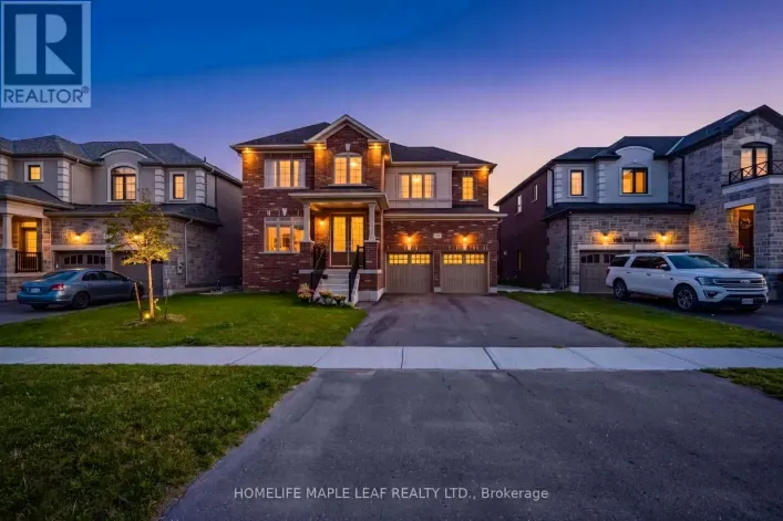 244 WARDEN STREET, Clearview