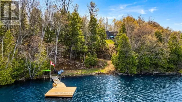 245 CEDAR RIDGE TRAIL, Faraday