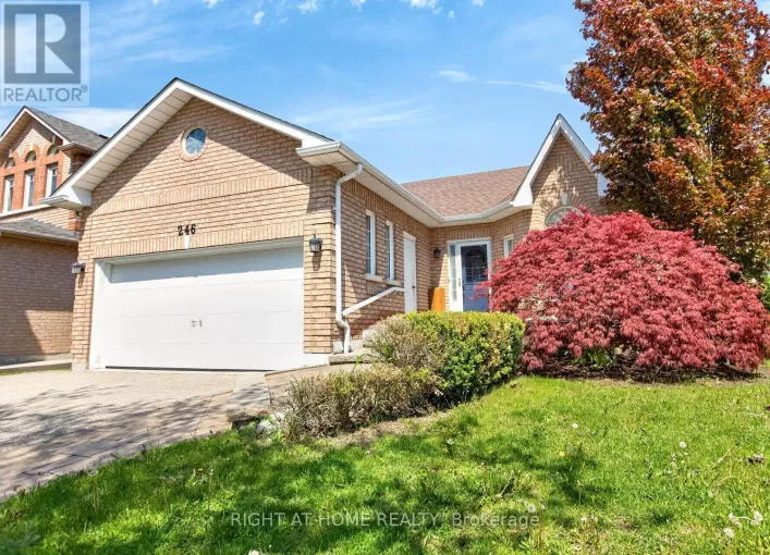 246 CAPRONI DRIVE, Vaughan
