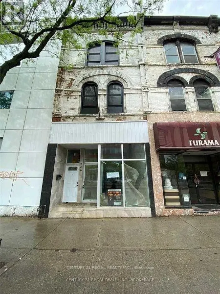 246 SPADINA AVENUE, Toronto