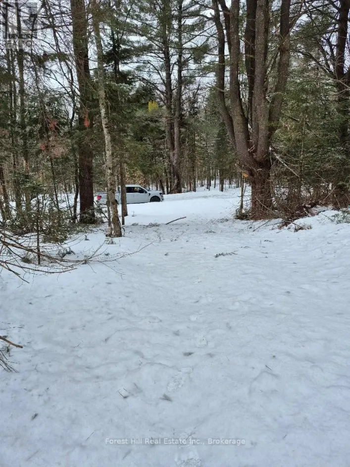 247 WOODLAND DRIVE, McMurrich/Monteith