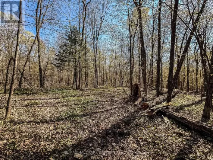 2494 HADLINGTON ROAD, Highlands East