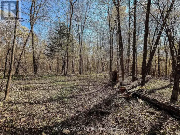 2494 HADLINGTON ROAD, Highlands East