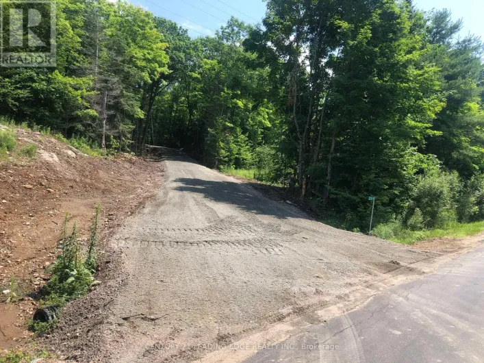 251 SHEBESHEKONG ROAD, Carling