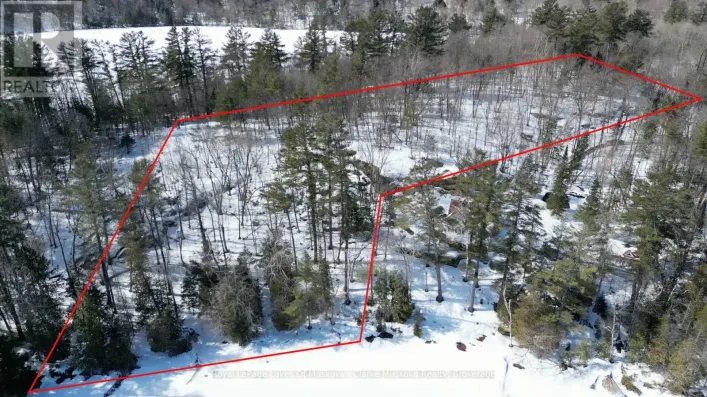 252 CLEAR LAKE ROAD, Seguin