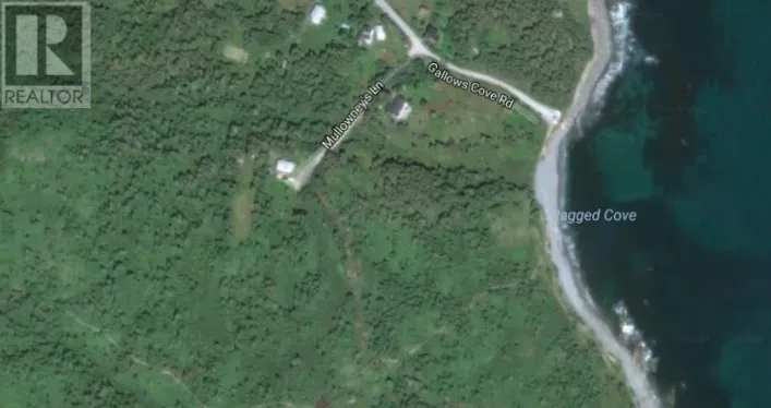 25-37 Mullowney's , Gallows cove Road, Witless Bay