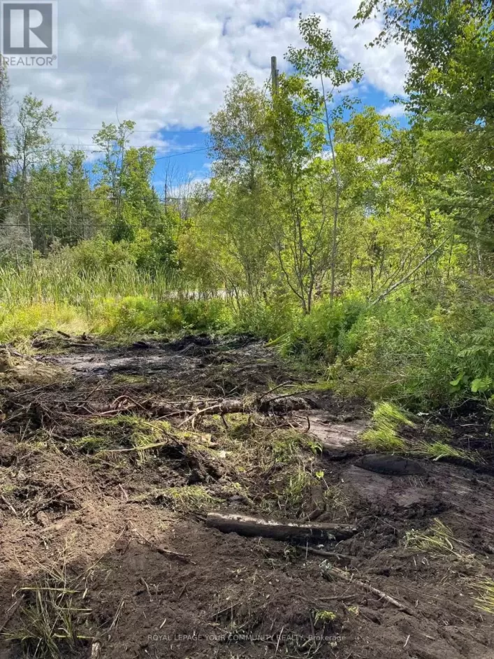 2566 25 SIDEROAD ROAD, Innisfil