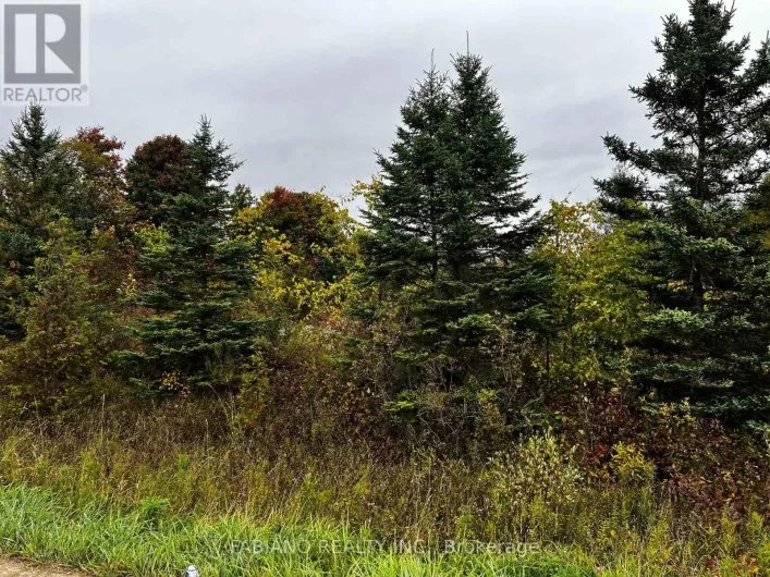257 4TH LINE CONCESSION 4 SW LINE, Melancthon