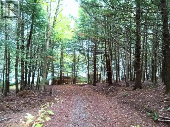 258 Moyle Mader Road, Maitland