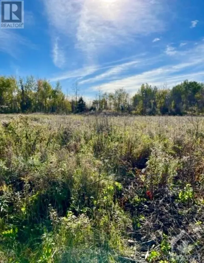 26 HONEY BEE GROVE, Ottawa