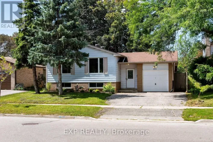 260 COOK STREET, Barrie