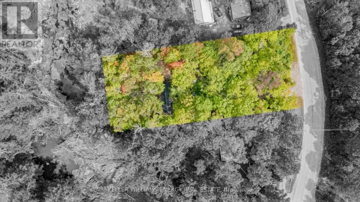 260 EDWINA DRIVE, Trent Lakes