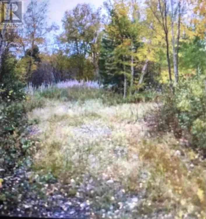 260A Main Street, Embree