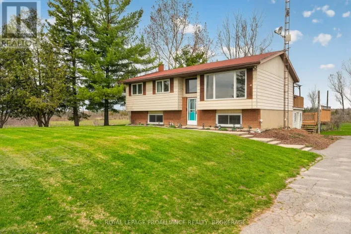261 SHANE STREET, Loyalist