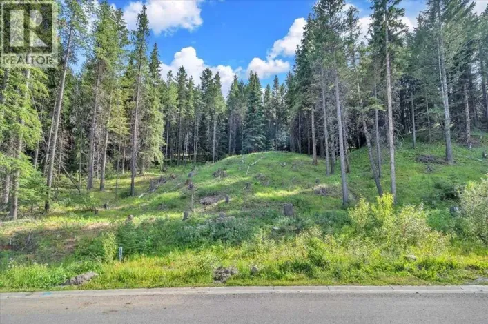 262 Southmore Place, Blairmore
