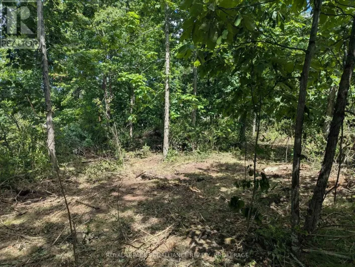 2621 4TH CONCESSION ROAD, Kingston