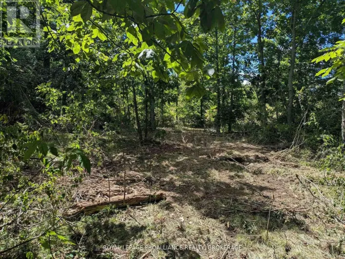 2621 4TH CONCESSION ROAD, Kingston