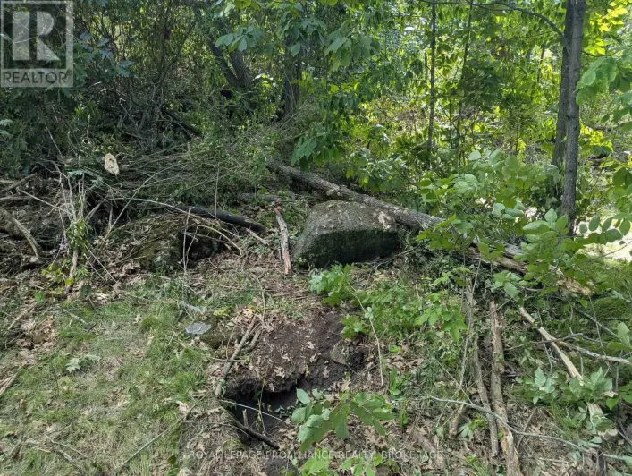 2622 4TH CONCESSION ROAD, Kingston