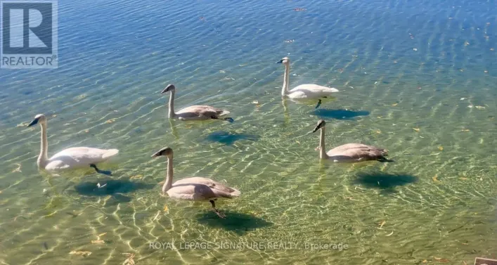 2644 LAKESHORE DRIVE, Ramara