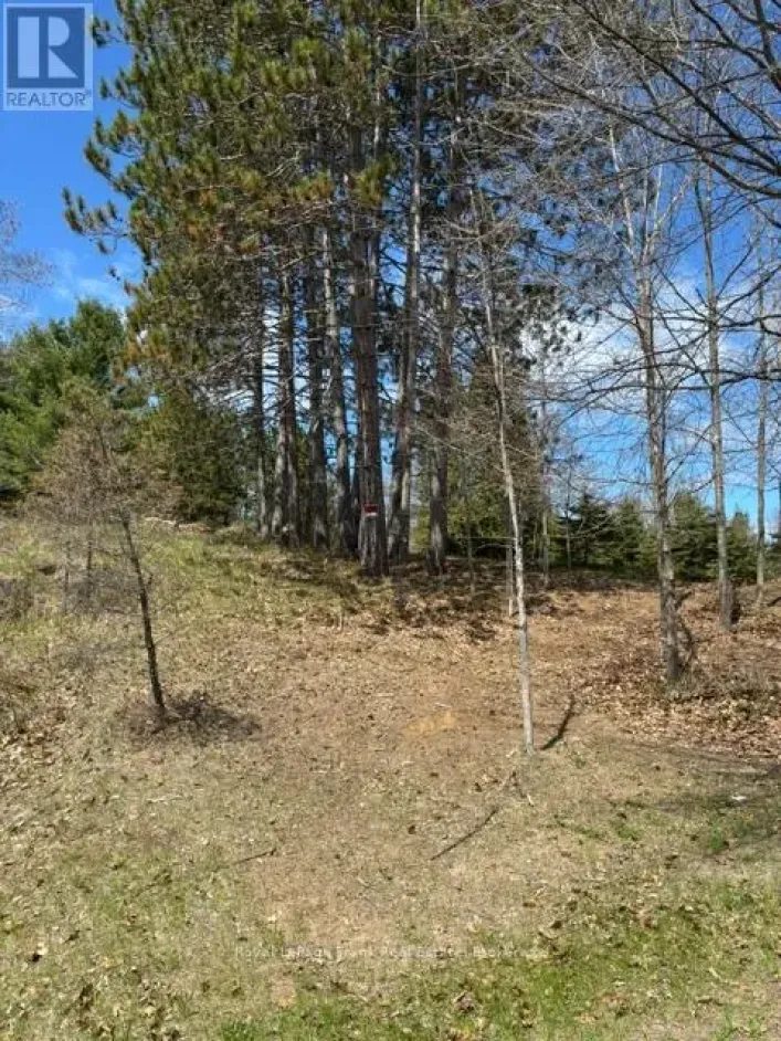 26686 HIGHWAY 62 S, Bancroft