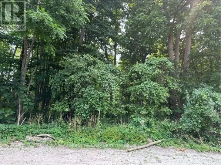 2728 25TH SIDE ROAD, Innisfil