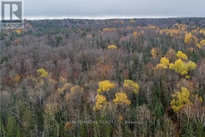 27681 HIGHWAY 60 HIGHWAY, South Algonquin