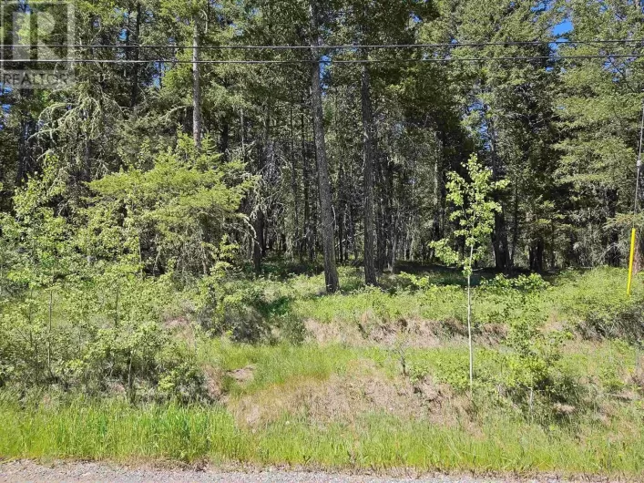 277 WOODLAND DRIVE, Williams Lake