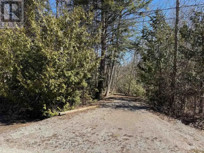 28 GEORGE STREET, Bluewater