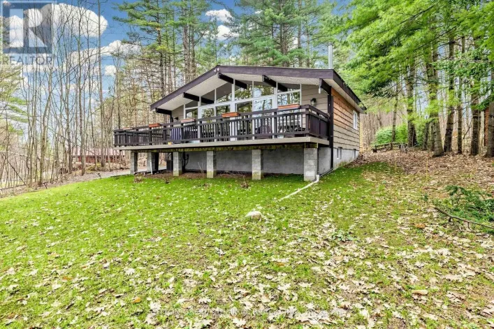 28 TIMCOURT DRIVE, Tiny
