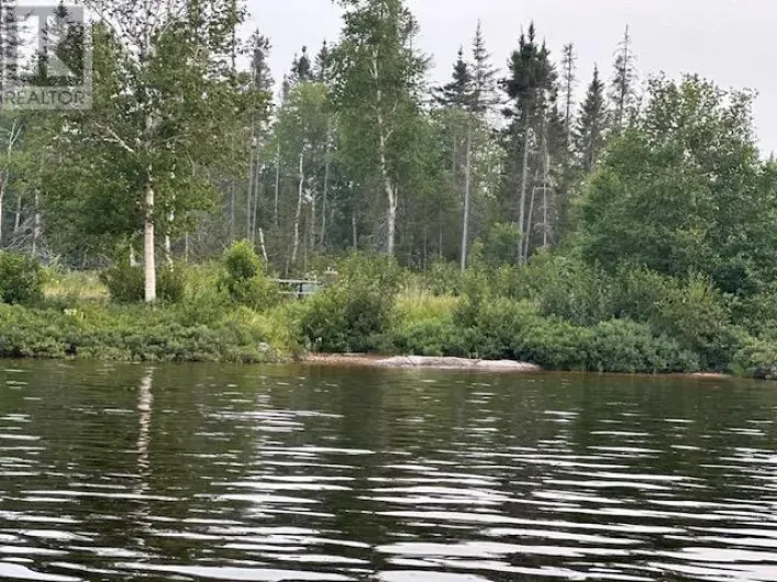 28 Trichilo Shores, Schreiber