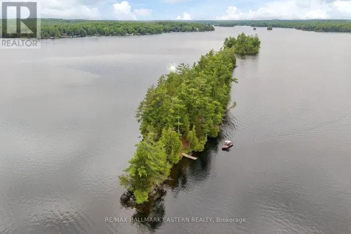 281 STRING ISLAND S, Havelock-Belmont-Methuen