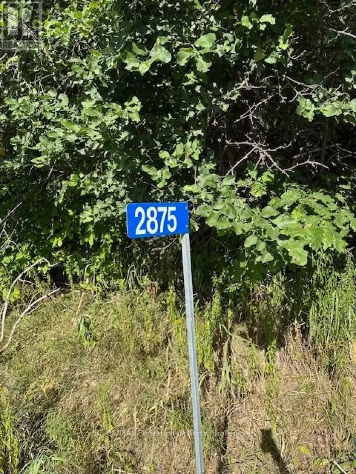 2875 COUNTY ROAD 21 ROAD, Minden Hills