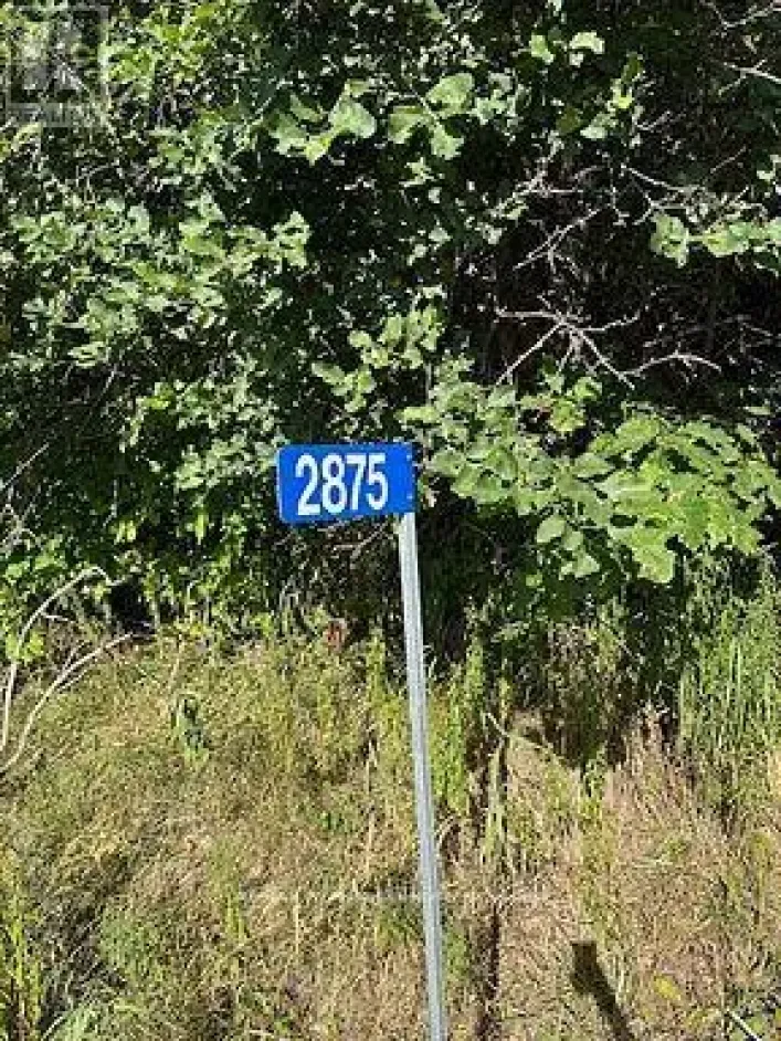 2875 COUNTY ROAD 21 ROAD, Minden Hills