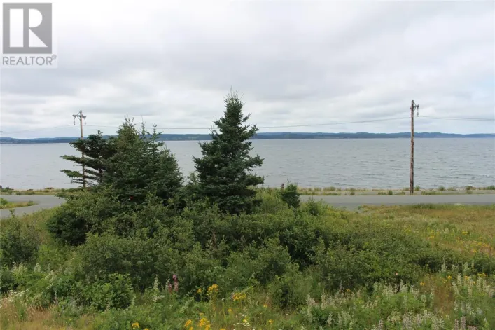 289-291 Seal Cove Road, Conception Bay South