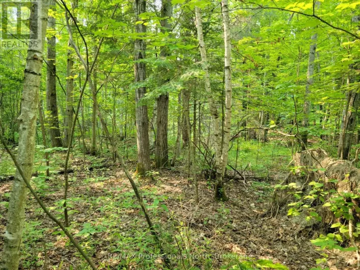29 - 29 MOUNT VERNON TRAIL, Huntsville