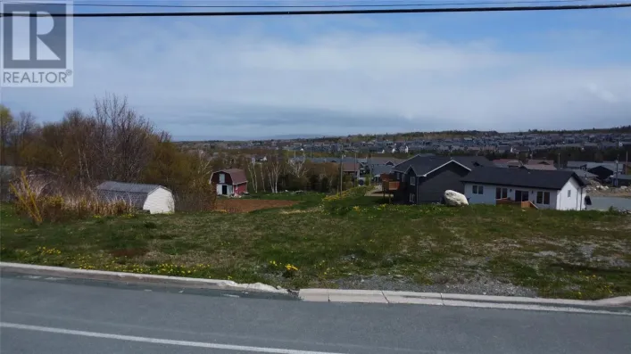 29 Lawrence Pond Road, Conception Bay South