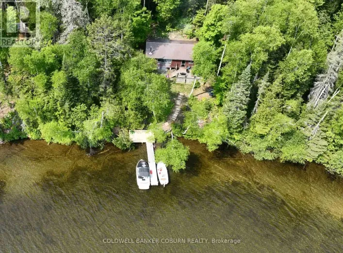 2958 AYLEN LAKE ROAD, South Algonquin