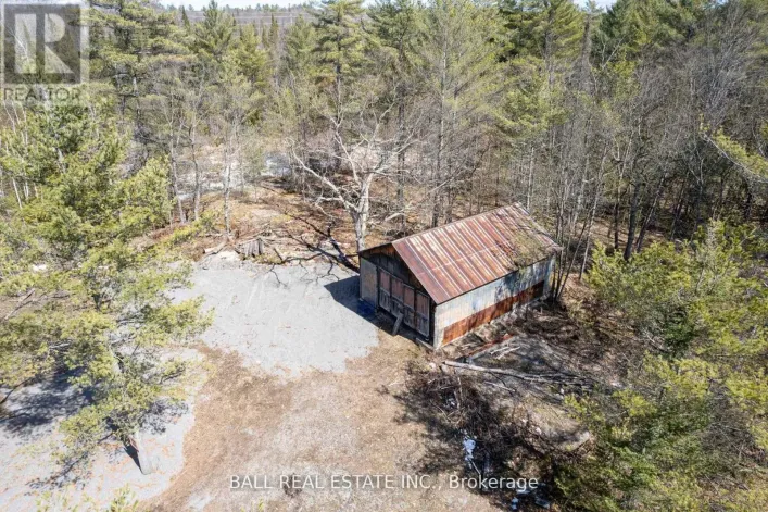 3 FIRE ROUTE 81, Trent Lakes