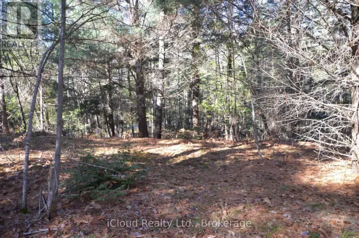 3 PARKER BAY ROAD, Whitestone