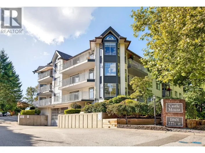 301 11601 227 STREET, Maple Ridge