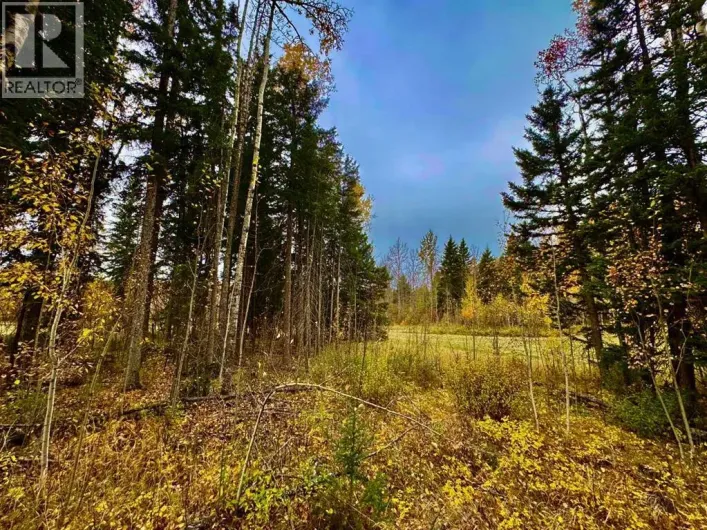 301 Valley View Drive, Rural Clearwater County