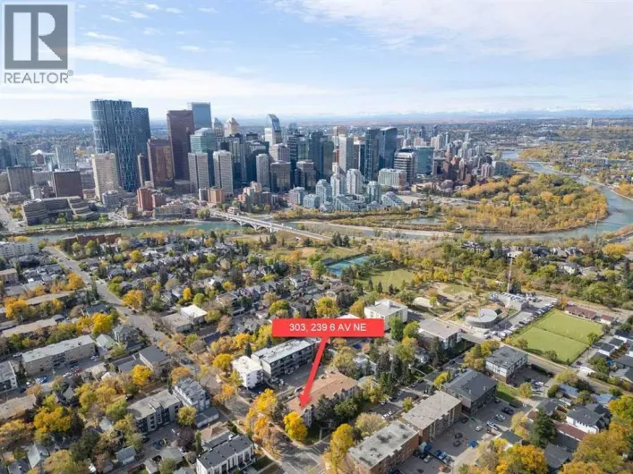 303, 239 6 Avenue NE, Calgary