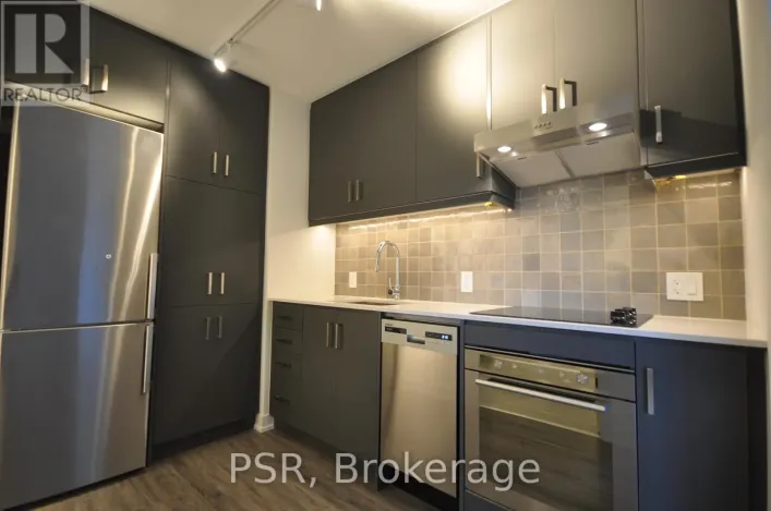 303 - 9 TECUMSETH STREET, Toronto