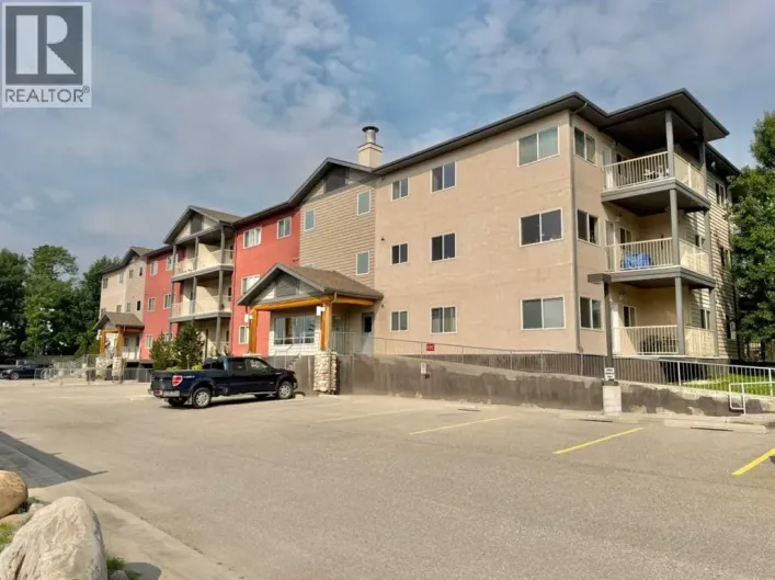 305, 109 Seabolt Drive, Hinton