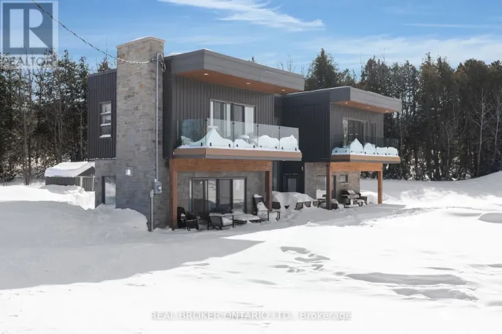 31 HEMLOCK AVENUE, Tay